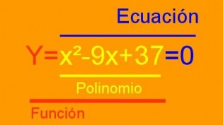 Poli-Ecu-Fun Cian Maiden Wood 4ºC