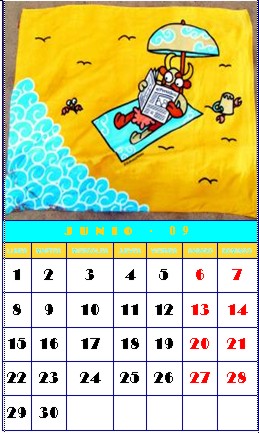 junio 2009 junio 2009