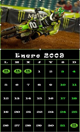 Kawasaki mes de Enero