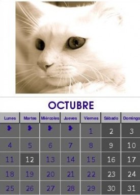 Octubre 2010