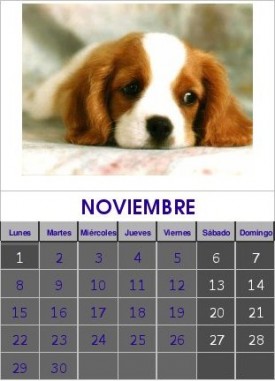 Noviembre 2010