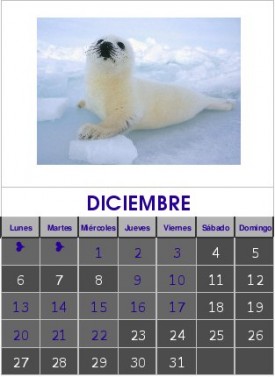 Diciembre 2010