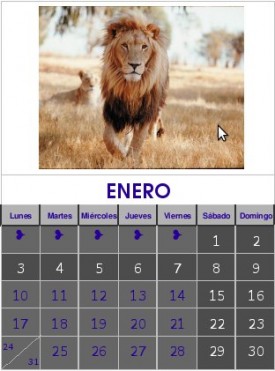 Enero 2011