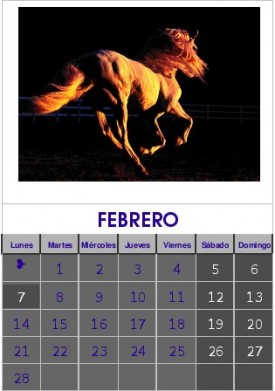 Febrero 2011