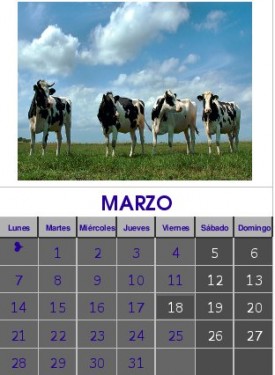 Marzo 2011