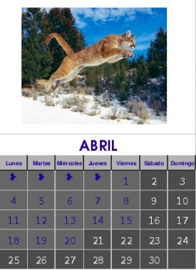 Abril 2011