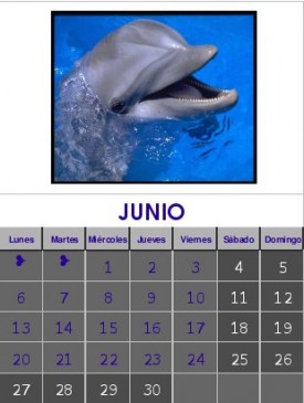 Junio 2011