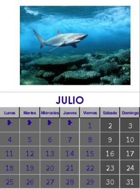 Julio 2011