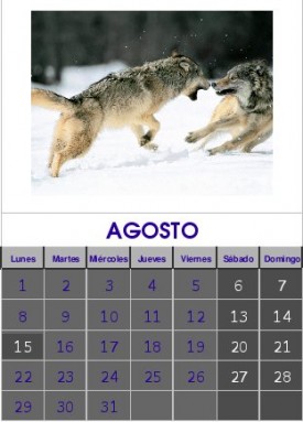 Agosto 2011