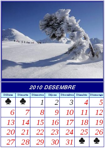 DICIEMBRE 2010